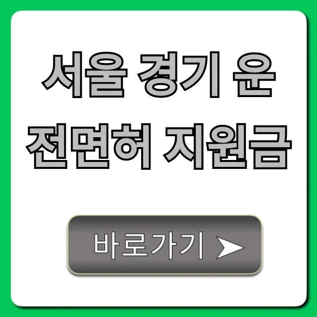 서울 경기 운전면허 지원금 2024년, 청년이라면 필수 확인!