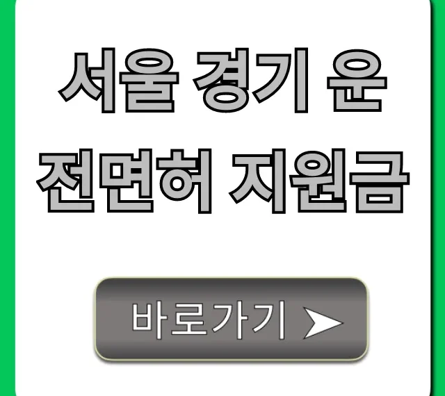 서울 경기 운전면허 지원금 신청 방법과 꿀팁 총정리