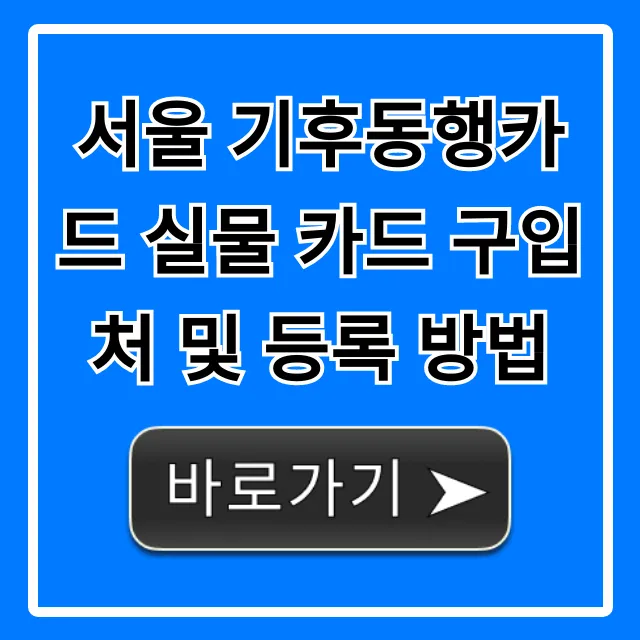 서울 기후동행카드 실물 카드 구입/등록 총정리