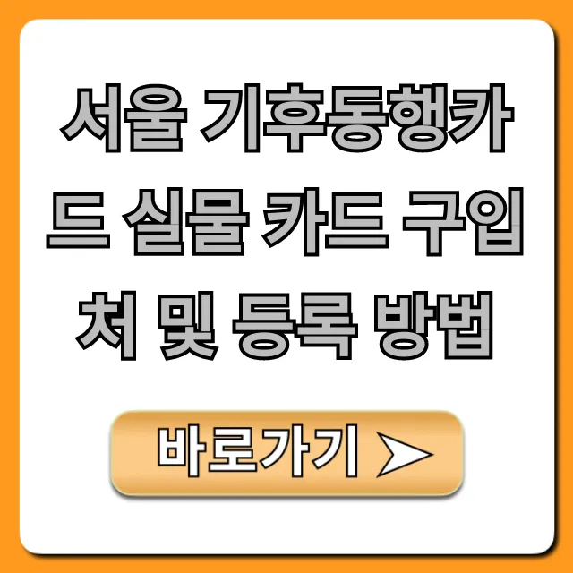 서울 기후동행카드 실물 카드 구입처 및 등록 방법 완벽 가이드