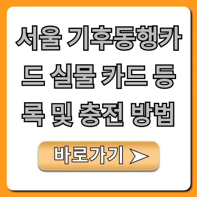 서울 기후동행카드 실물 카드 등록 및 충전 방법 꿀팁