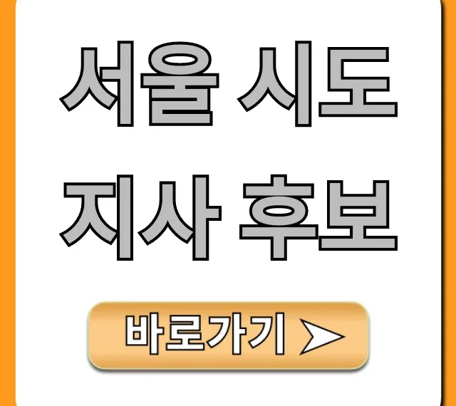 서울 시도지사 후보 공약 정책 총정리