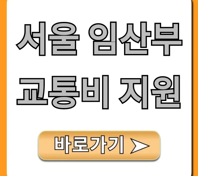 서울 임산부 교통비 지원: 신청 방법 및 혜택 총정리
