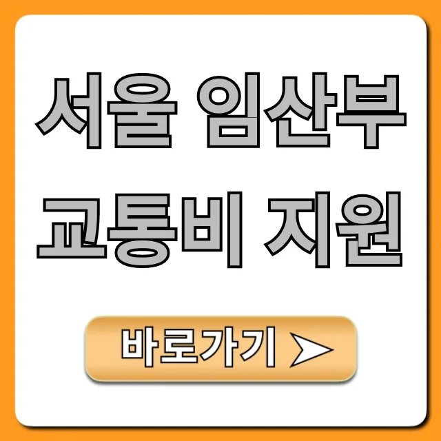 서울 임산부 교통비 지원 신청 방법 총정리