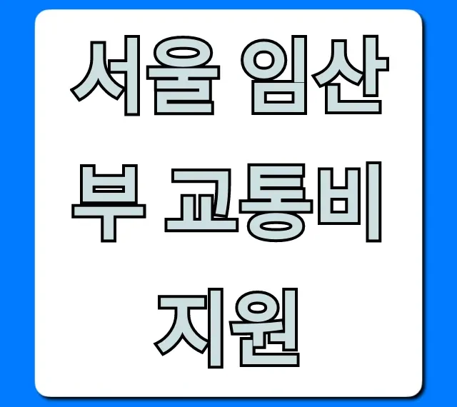 서울 임산부 교통비 지원! 신청부터 꿀팁까지 총정리