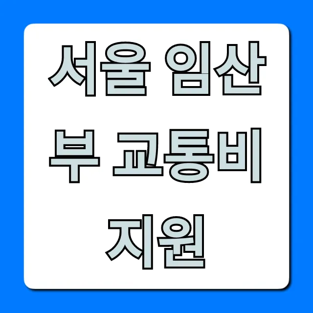 서울 임산부 교통비 지원! 신청부터 꿀팁까지 총정리