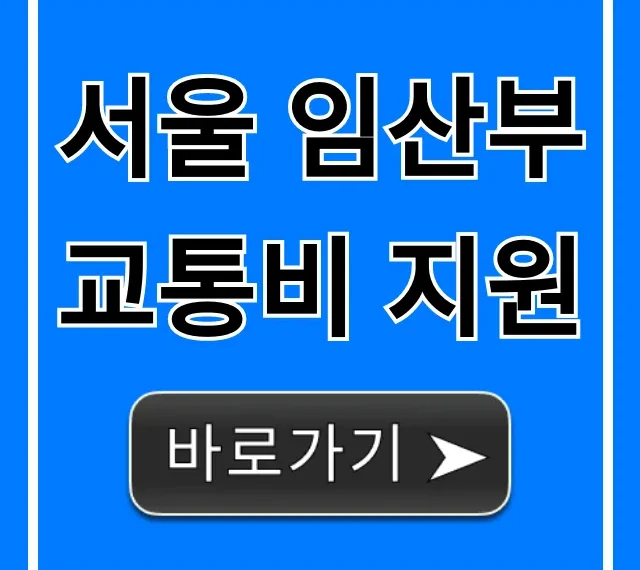 서울 임산부 교통비 지원: 신청부터 혜택까지 총정리