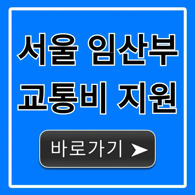 서울 임산부 교통비 지원: 신청부터 혜택까지 총정리