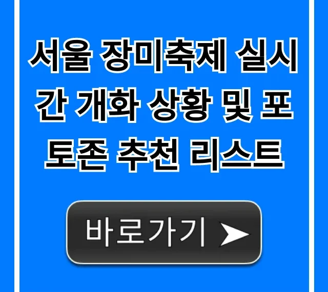 서울 장미축제 실시간 개화 상황 및 포토존 추천 리스트
