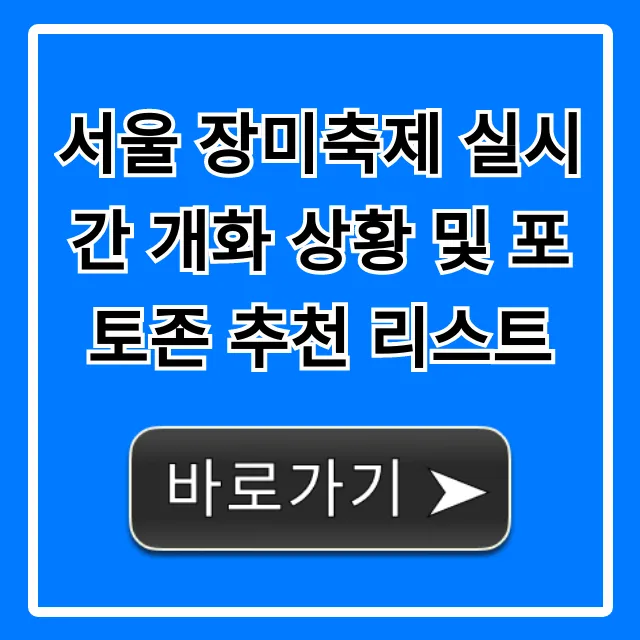 서울 장미축제 실시간 개화 상황 및 포토존 추천 리스트