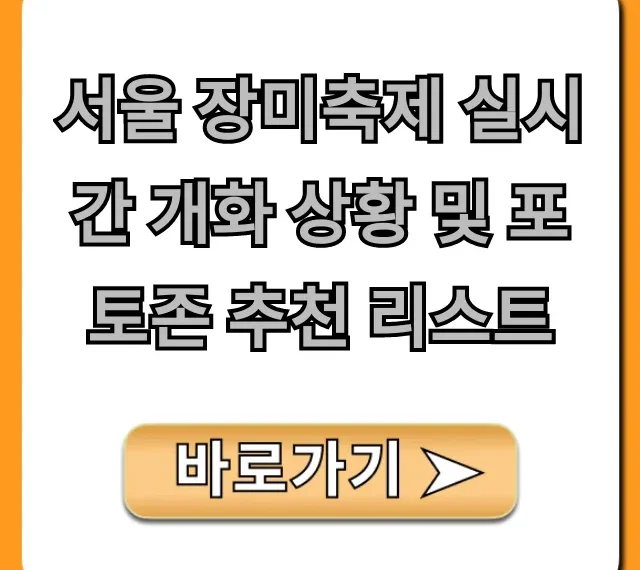 서울 장미축제 실시간 개화 상황 및 포토존 추천 리스트!