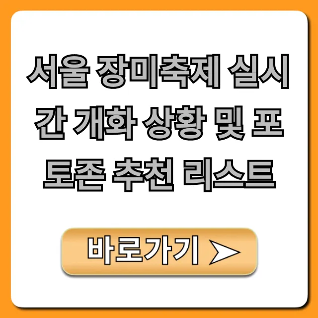 서울 장미축제 실시간 개화 상황 및 포토존 추천 리스트!