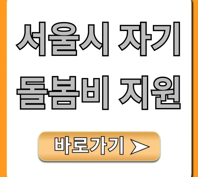 서울시 자기돌봄비 지원 신청 방법 총정리