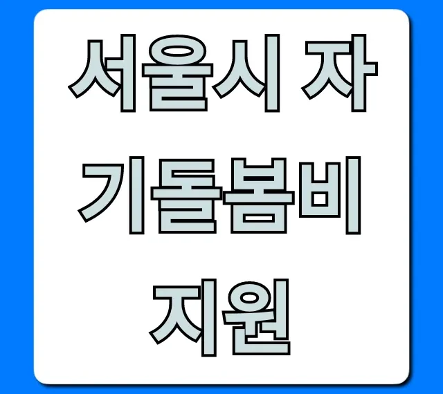 서울시 자기돌봄비 지원: 자격 및 신청 완벽 가이드