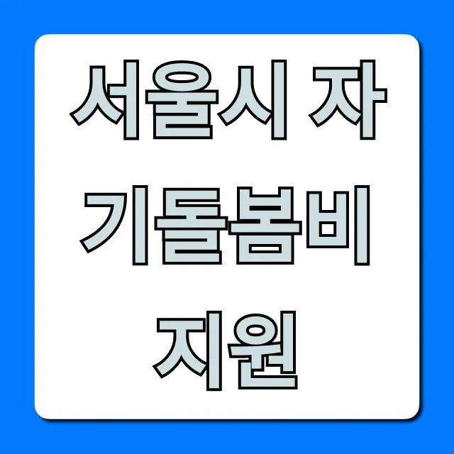 서울시 자기돌봄비 지원: 자격 및 신청 완벽 가이드