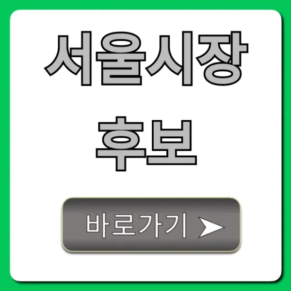 서울시장 후보: 인물 공약 총정리
