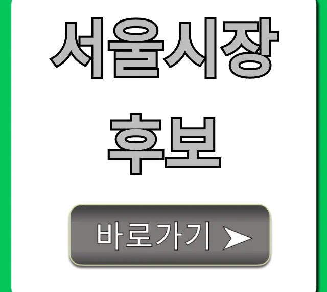 서울시장 후보: 인물 공약 총정리