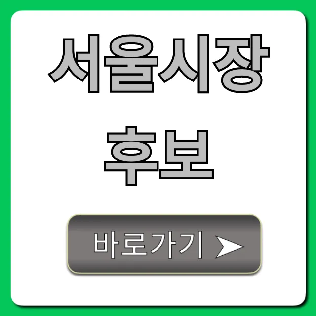 서울시장 후보: 인물 공약 총정리 서울시장 후보: 인물 공약 총정리