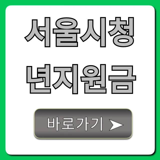 서울시청년지원금 2024년 신청방법 완벽가이드 서울시청년지원금 2024년 신청방법 완벽가이드