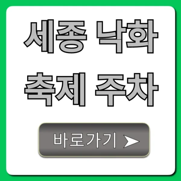 세종 낙화축제 주차 혼잡 피하는 꿀팁!