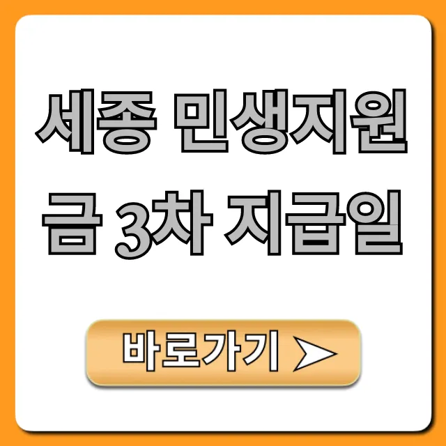 세종 민생지원금 3차 지급일! 신청 대상 총정리