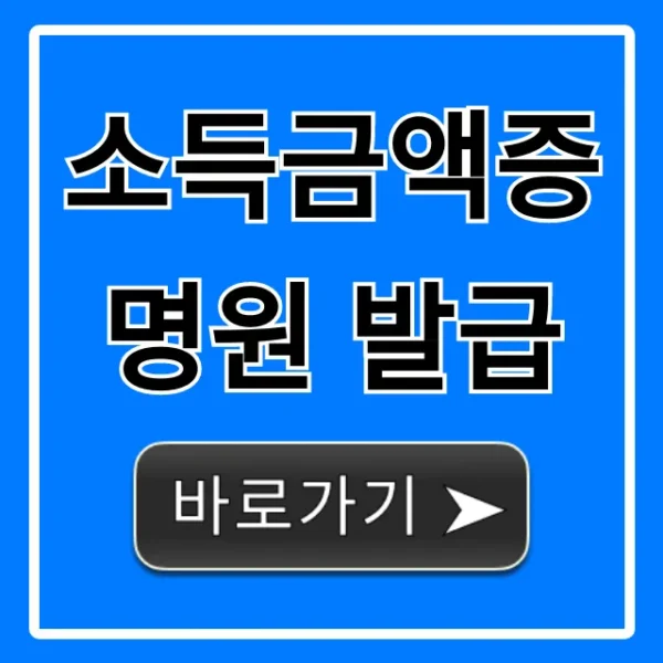 소득금액증명원 발급, 홈택스 5분 만에 끝!