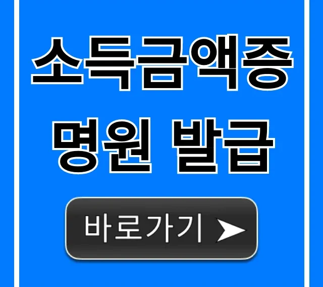 소득금액증명원 발급, 홈택스 5분 만에 끝!
