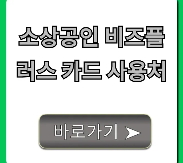소상공인 비즈플러스 카드 사용처 총정리 및 꿀팁