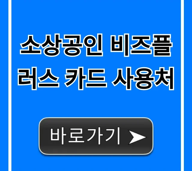 소상공인 비즈플러스 카드 사용처, 혜택 총정리!