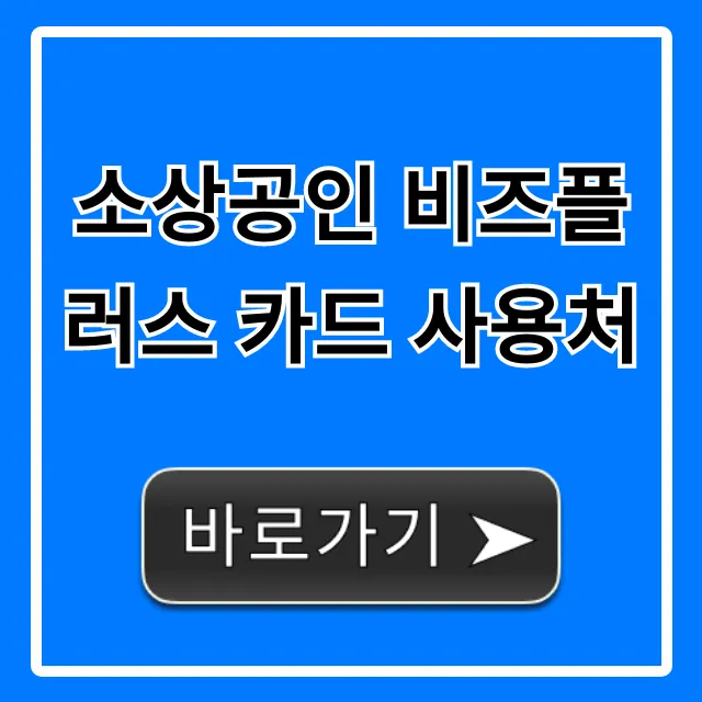 소상공인 비즈플러스 카드 사용처, 혜택 총정리!