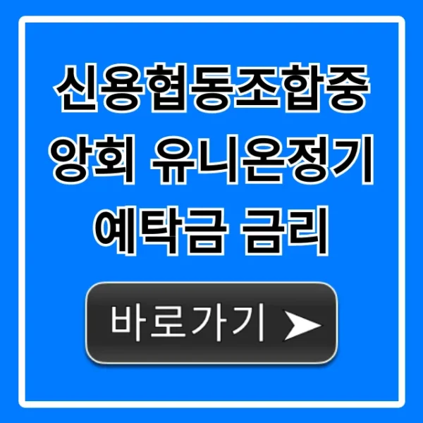 신용협동조합중앙회 유니온정기예탁금 금리 최신 조회