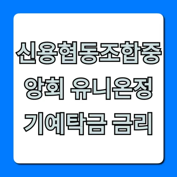 신용협동조합중앙회 유니온정기예탁금 금리 최신 총정리