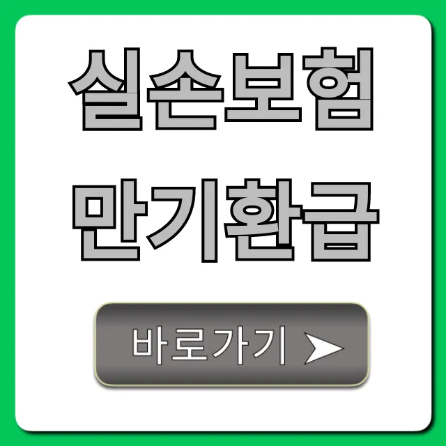 실손보험만기환급, 과연 받을 수 있을까? 핵심 총정리 실손보험만기환급, 과연 받을 수 있을까? 핵심 총정리