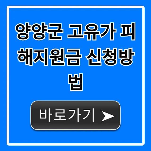 양양군 고유가 피해지원금 신청방법, 대상부터 지급까지 완벽정리! 양양군 고유가 피해지원금 신청방법, 대상부터 지급까지 완벽정리!