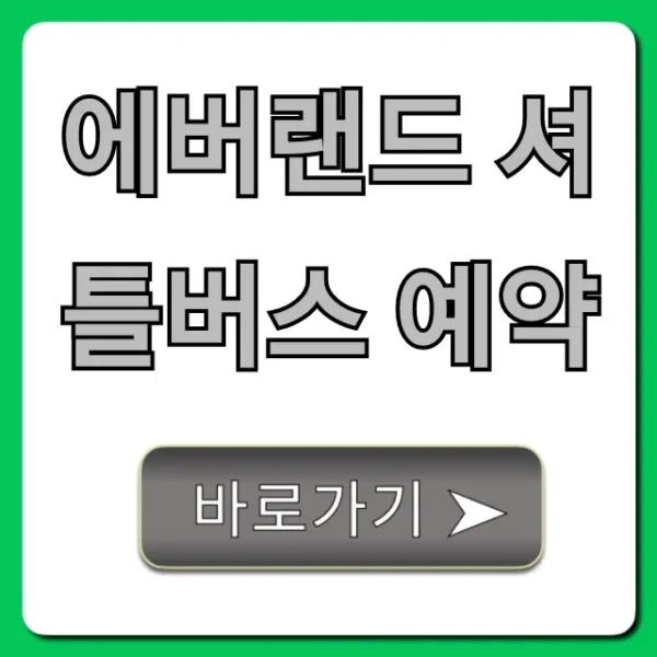 에버랜드 셔틀버스 예약 노선 시간 가격 총정리