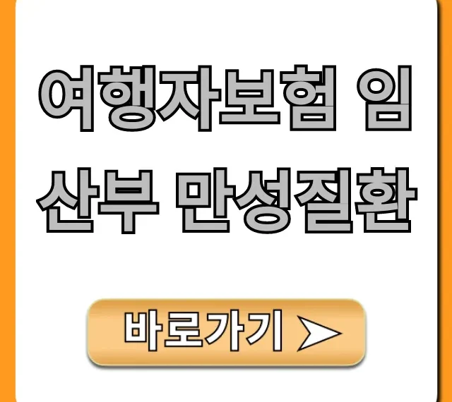 여행자보험 임산부 만성질환 가입 조건 총정리