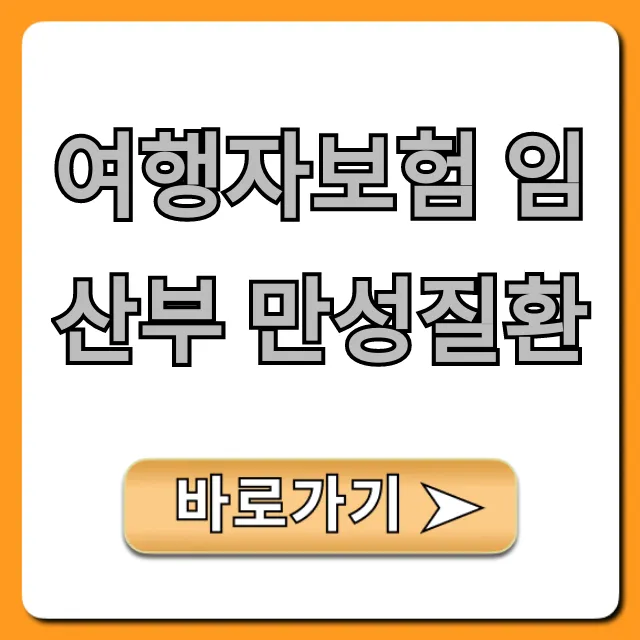 여행자보험 임산부 만성질환 가입 조건 총정리