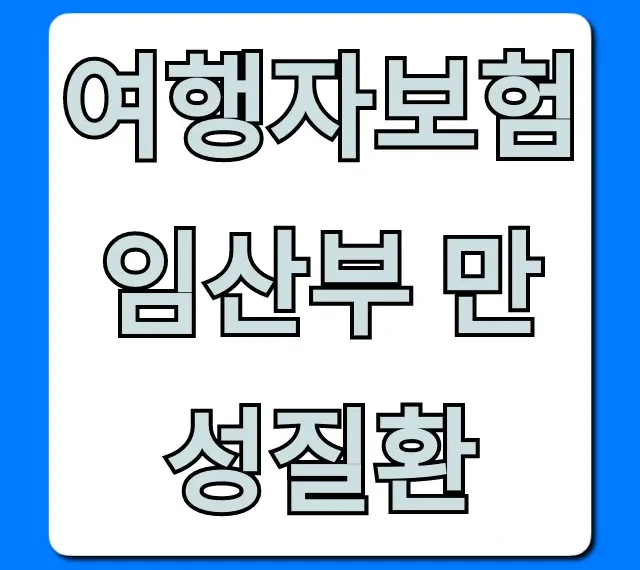 여행자보험 임산부 만성질환 안심 가입 완벽 가이드 여행자보험 임산부 만성질환 안심 가입 완벽 가이드