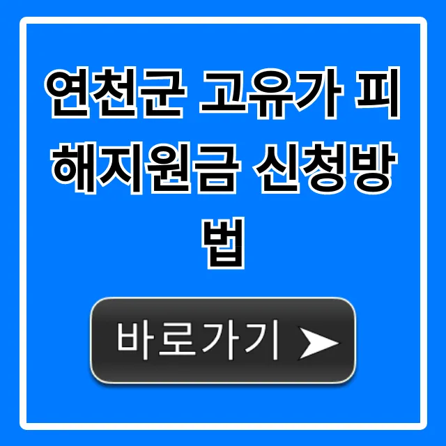 연천군 고유가 피해지원금 신청방법 완벽 가이드 연천군 고유가 피해지원금 신청방법 완벽 가이드