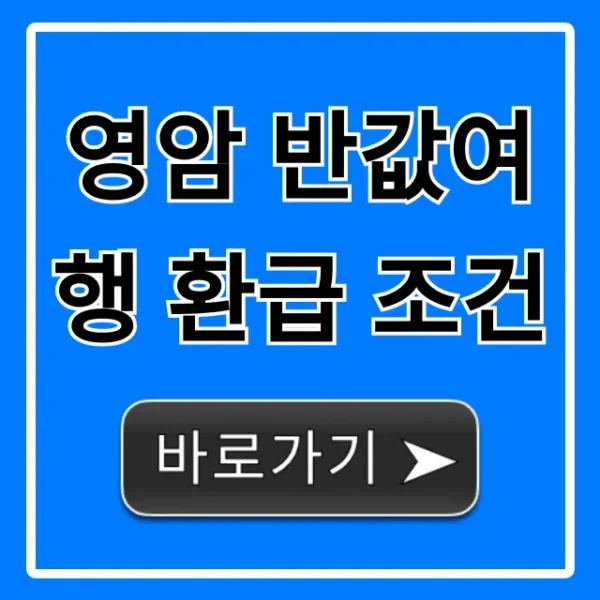 영암 반값여행 환급 조건, 놓치면 후회할 완벽 가이드