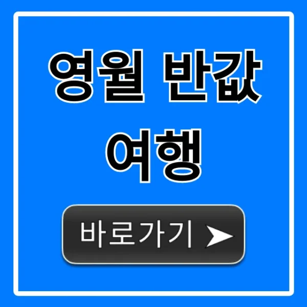 영월 반값여행 신청 방법과 꿀팁 총정리