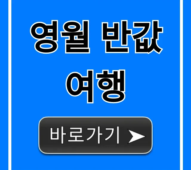 영월 반값여행 신청 방법과 꿀팁 총정리