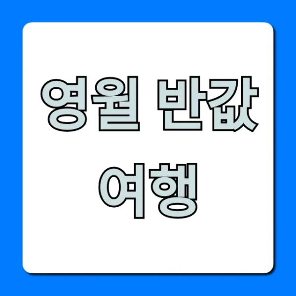 영월 반값여행 혜택 총정리! 신청 방법 완벽 가이드