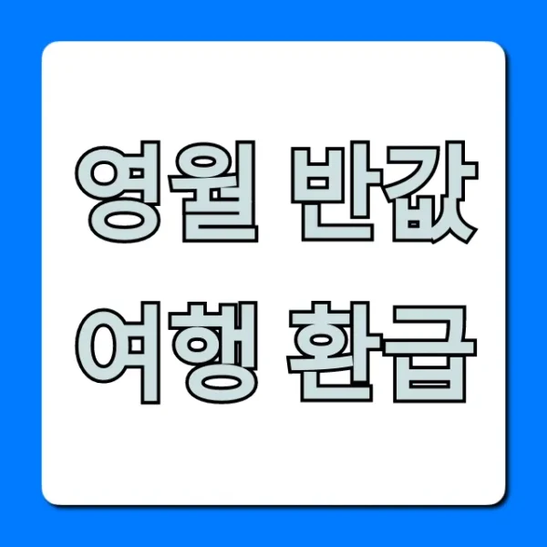 영월 반값여행 환급 신청 방법 꿀팁 총정리
