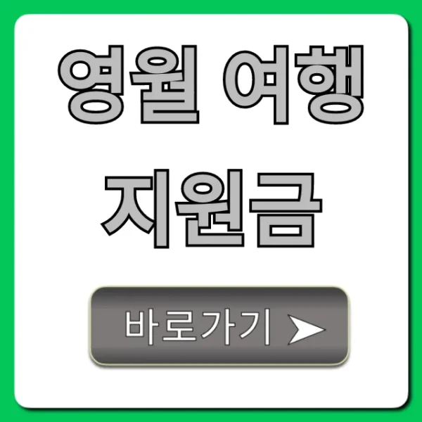 영월 여행 지원금 완벽 가이드! 신청 꿀팁