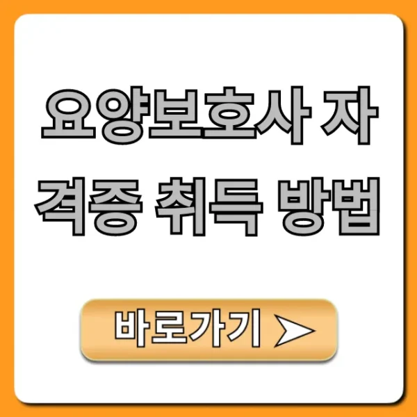 요양보호사 자격증 취득 방법: 국비지원 총정리