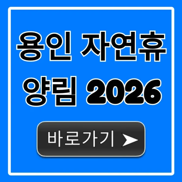 용인 자연휴양림 2026 숙박 신청 꿀팁 총정리