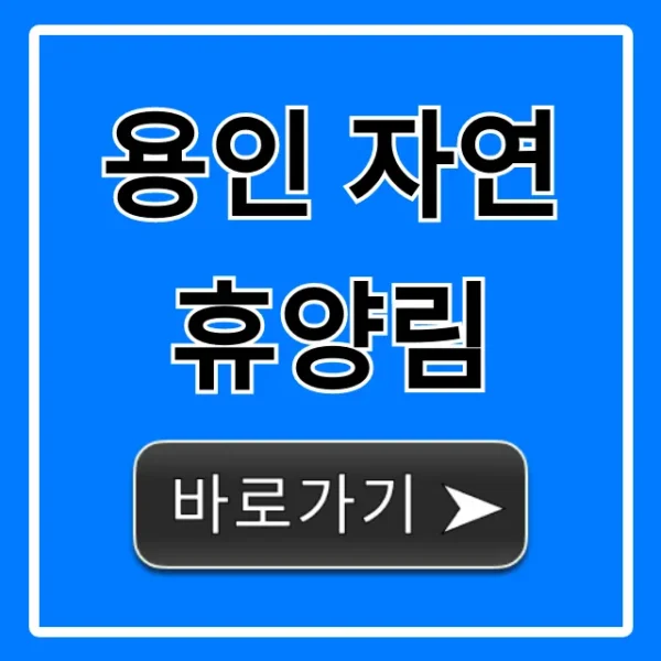 용인 자연휴양림 예약 방법, 가격 총정리