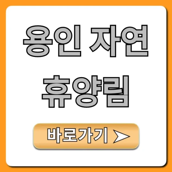 용인 자연휴양림 완벽 가이드: 예약, 시설, 가격 총정리