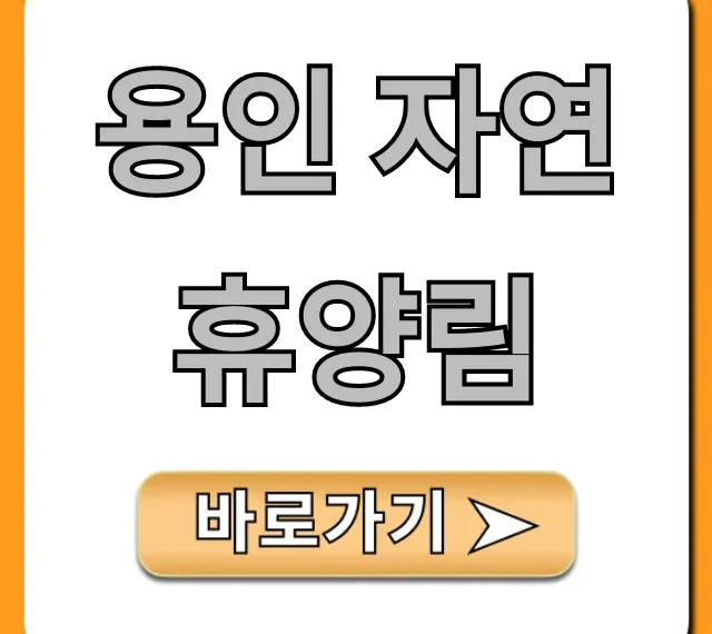 용인 자연휴양림 완벽 가이드: 예약, 시설, 가격 총정리